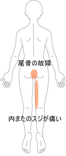 転んでしりもちをついた 右内またが痛い つたえ歩きになる 西宮で腰痛 手術寸前も可 ならダントツ地域no 1整体院