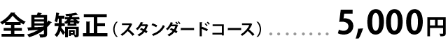 全身（スタンダードコース）…5,000円